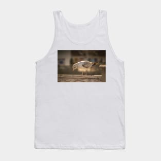 Medium gull Tank Top